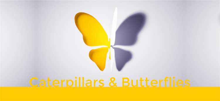 Caterpillars-and-Butterflies-w